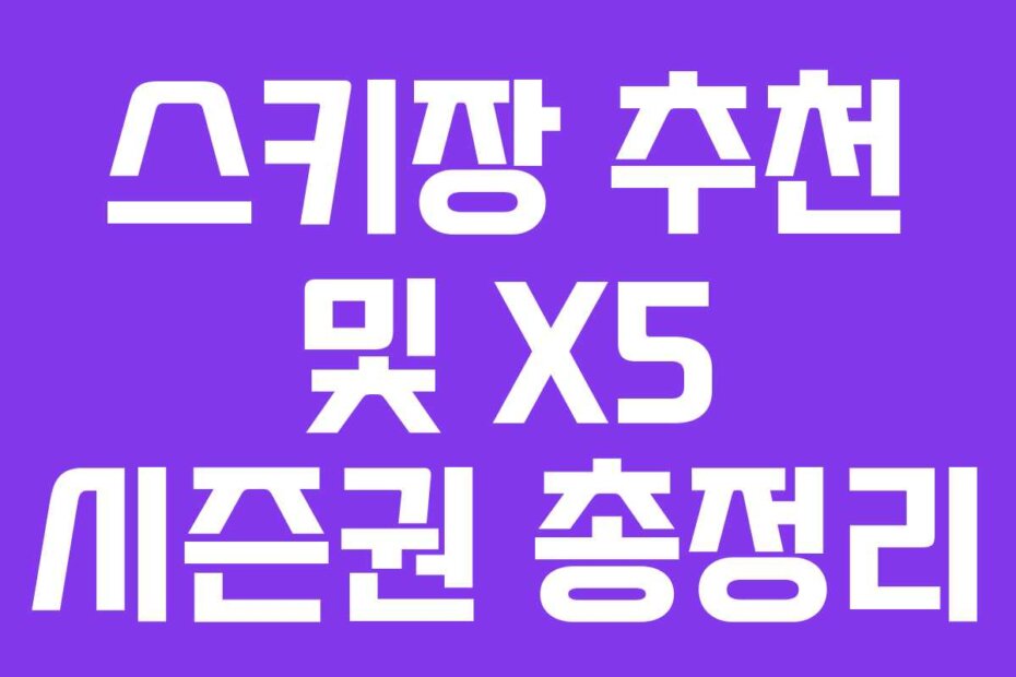 스키장 추천 및 X5 시즌권 총정리
