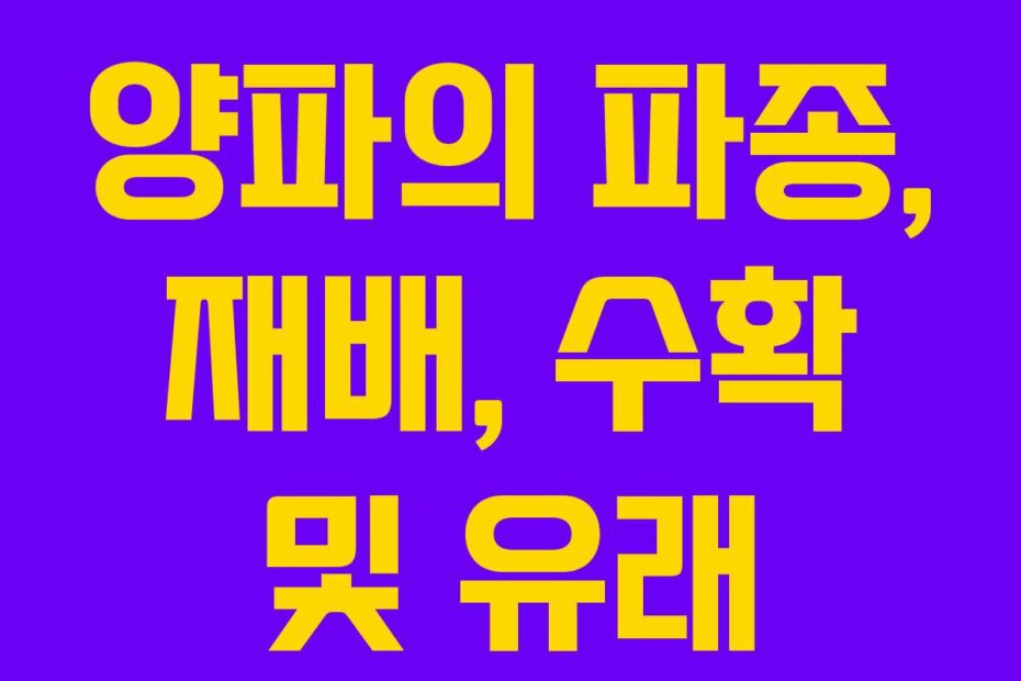 양파의 파종, 재배, 수확 및 유래