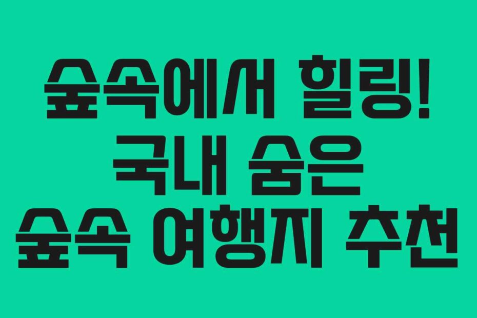 숲속에서 힐링! 국내 숨은 숲속 여행지 추천