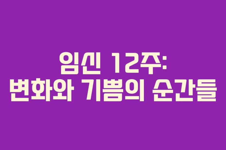 임신 12주: 변화와 기쁨의 순간들