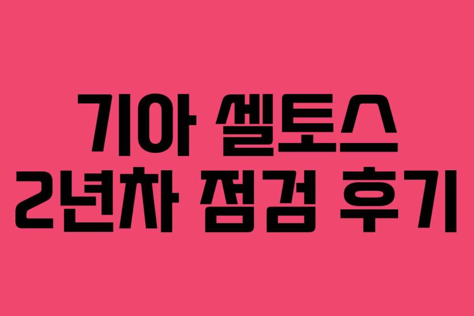 기아 셀토스 2년차 점검 후기