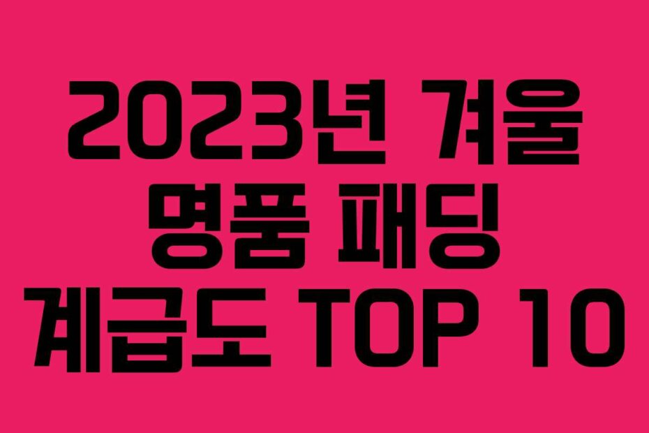 2023년 겨울 명품 패딩 계급도 TOP 10