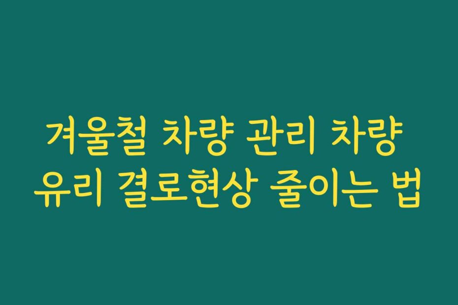 겨울철 차량 관리 차량 유리 결로현상 줄이는 법