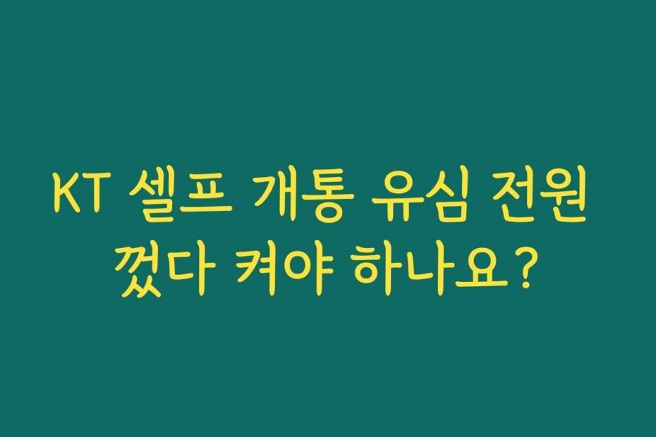 KT 셀프 개통 유심 전원 껐다 켜야 하나요?