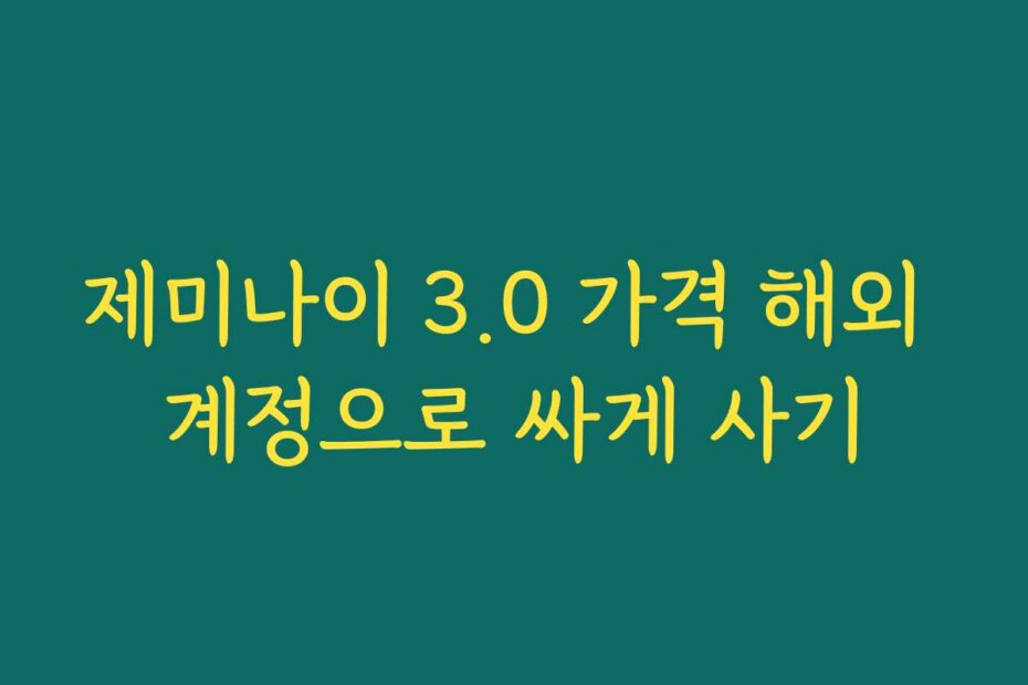 제미나이 3.0 가격 해외 계정으로 싸게 사기