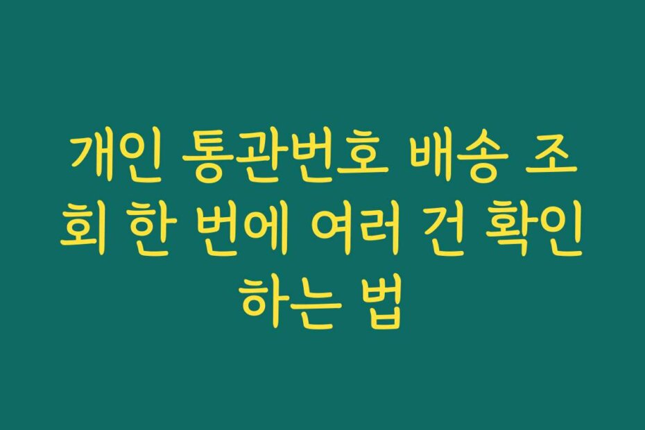 개인 통관번호 배송 조회 한 번에 여러 건 확인하는 법