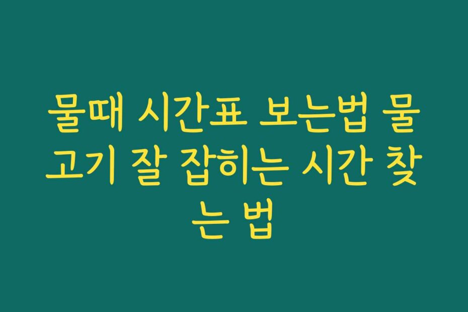 물때 시간표 보는법 물고기 잘 잡히는 시간 찾는 법