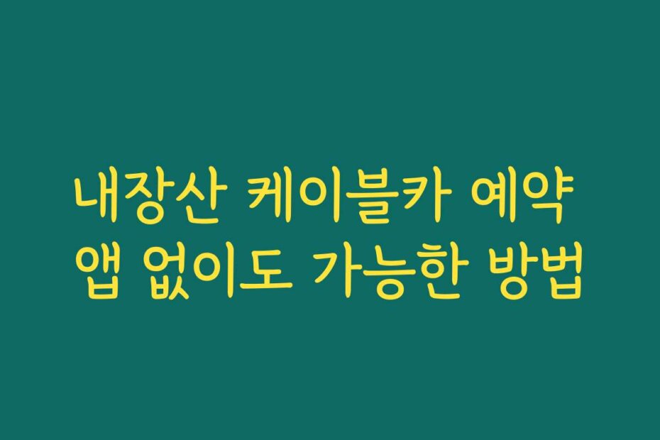 내장산 케이블카 예약 앱 없이도 가능한 방법