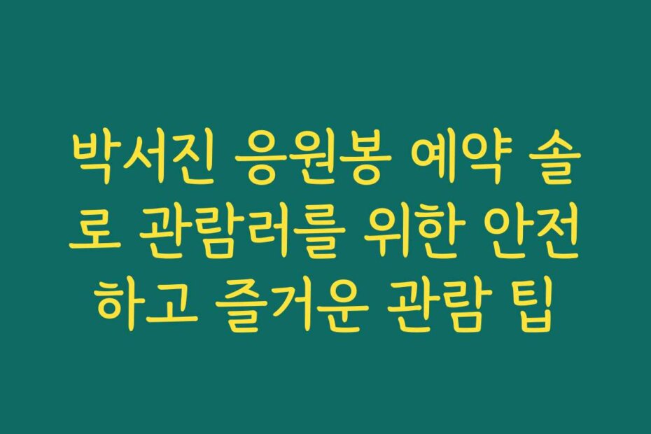 박서진 응원봉 예약 솔로 관람러를 위한 안전하고 즐거운 관람 팁
