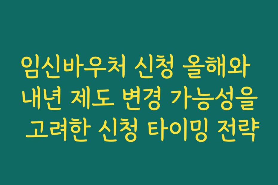 임신바우처 신청 올해와 내년 제도 변경 가능성을 고려한 신청 타이밍 전략