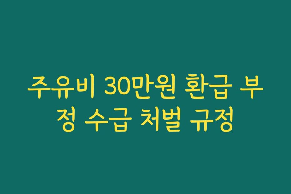 주유비 30만원 환급 부정 수급 처벌 규정