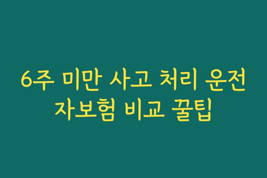 6주 미만 사고 처리 운전자보험 비교 꿀팁