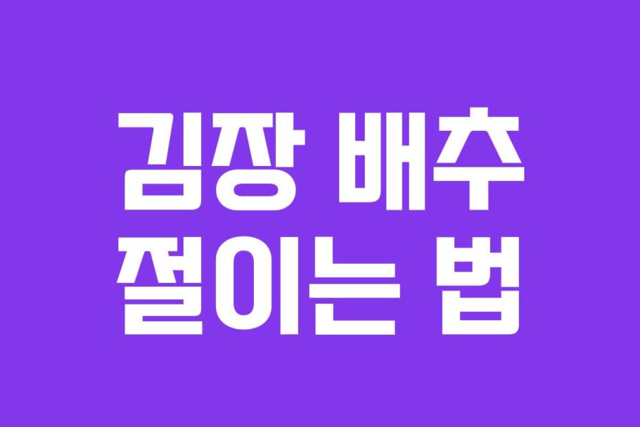 김장 배추 절이는 법