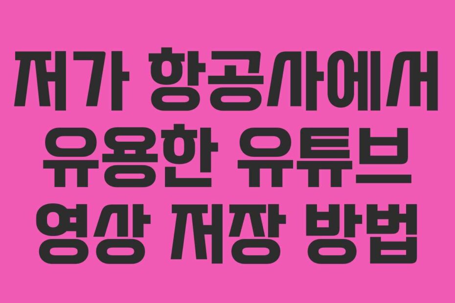 저가 항공사에서 유용한 유튜브 영상 저장 방법