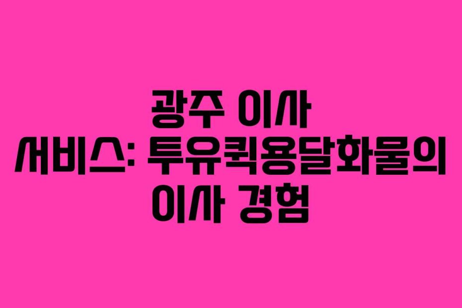 광주 이사 서비스: 투유퀵용달화물의 이사 경험