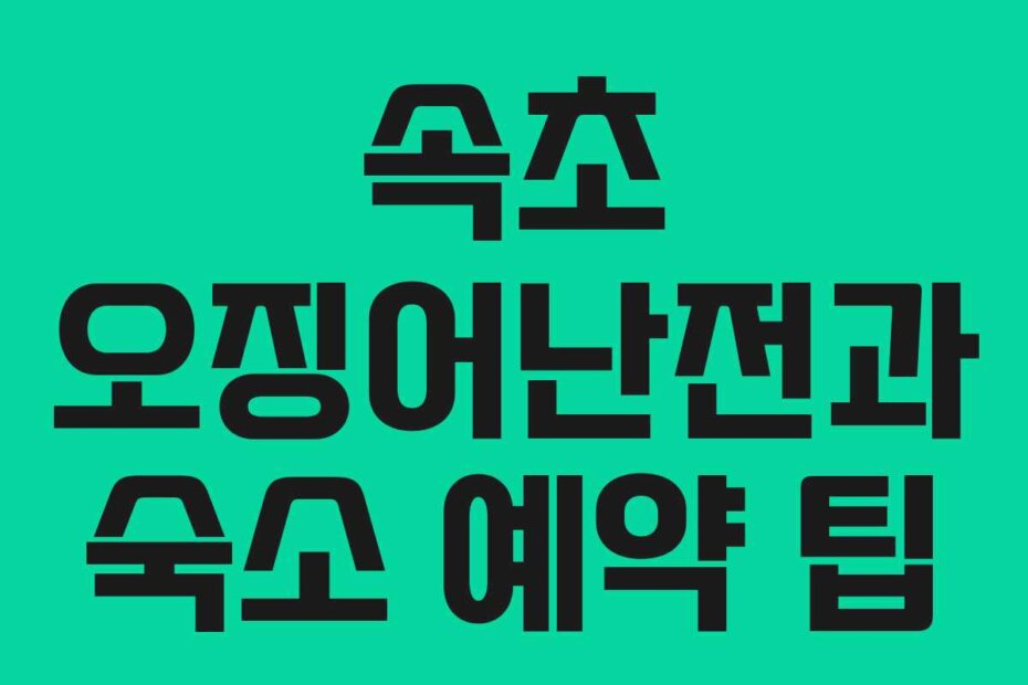 속초 오징어난전과 숙소 예약 팁