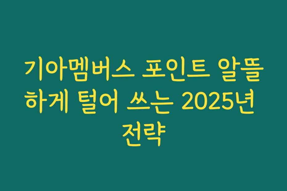 기아멤버스 포인트 알뜰하게 털어 쓰는 2025년 전략