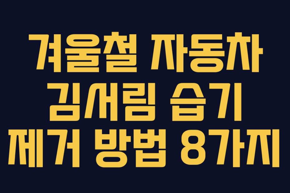 겨울철 자동차 김서림 습기 제거 방법 8가지