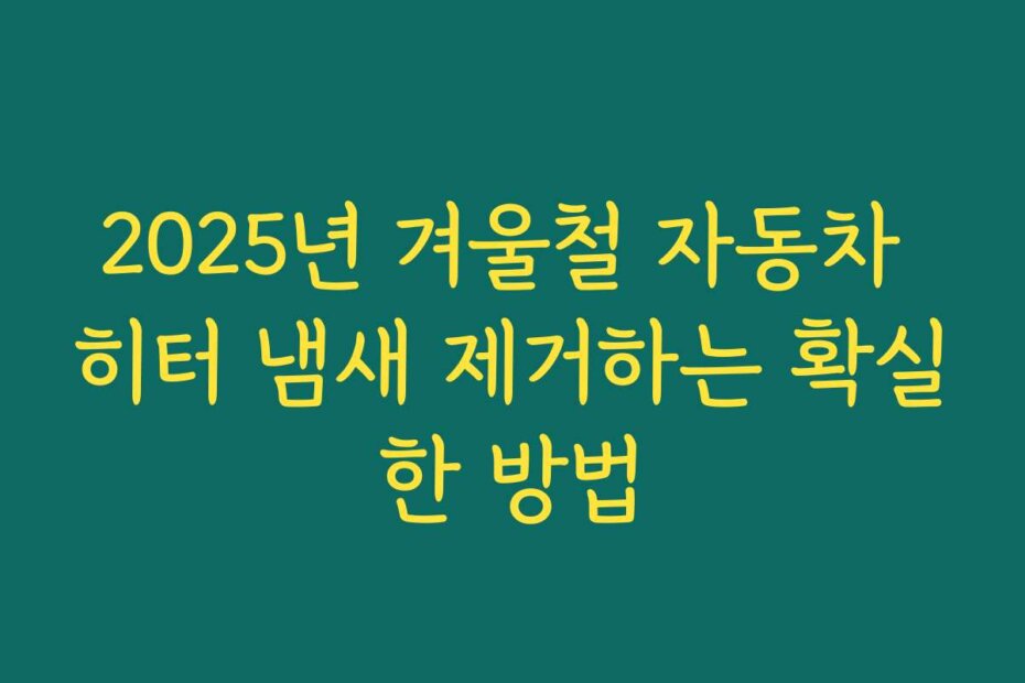2025년 겨울철 자동차 히터 냄새 제거하는 확실한 방법