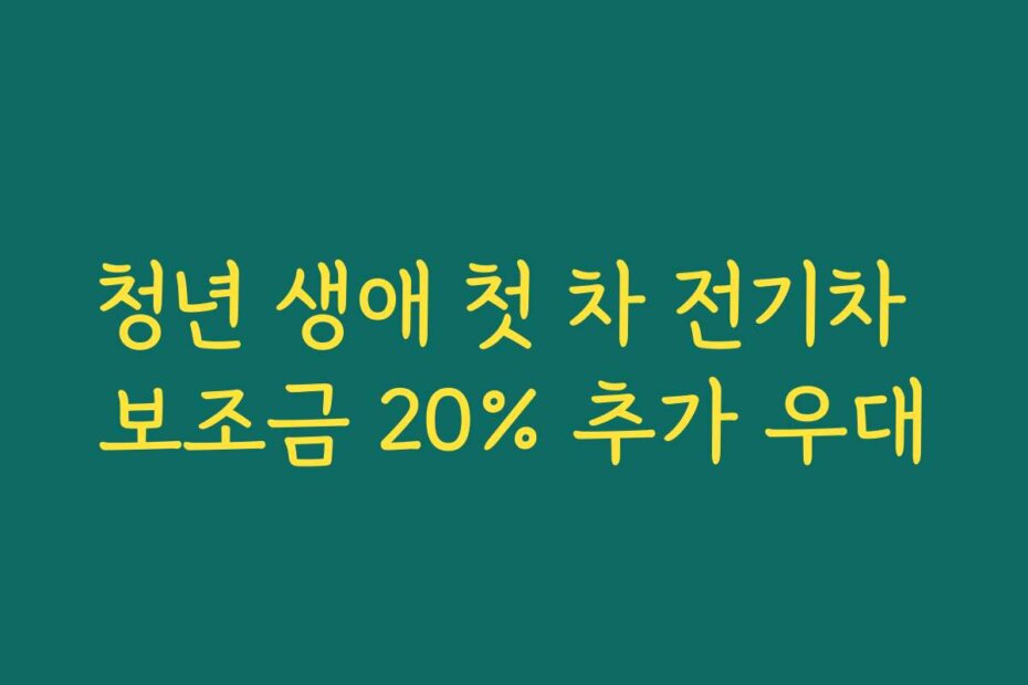 청년 생애 첫 차 전기차 보조금 20% 추가 우대