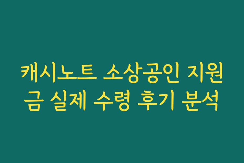 캐시노트 소상공인 지원금 실제 수령 후기 분석