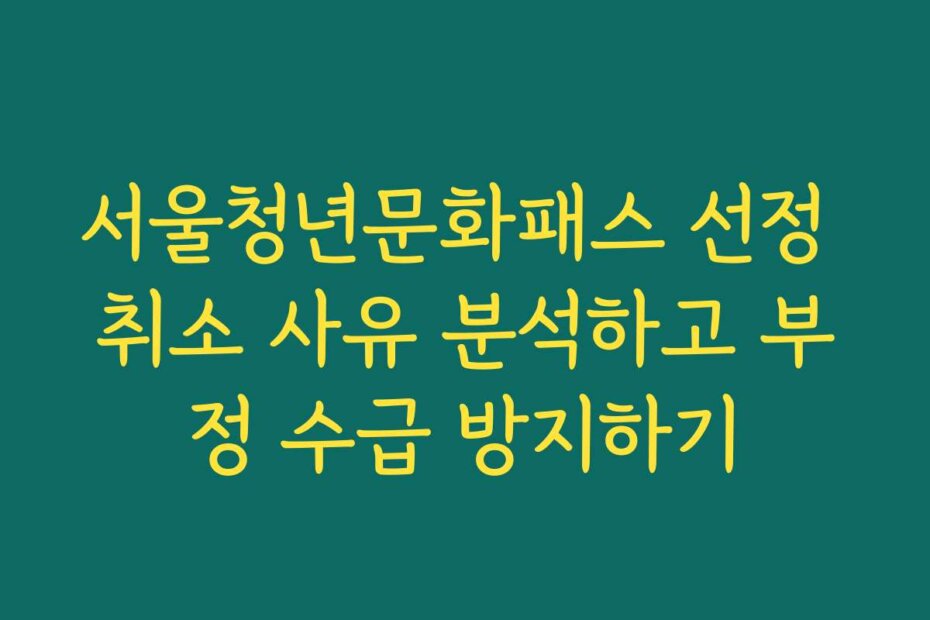 서울청년문화패스 선정 취소 사유 분석하고 부정 수급 방지하기