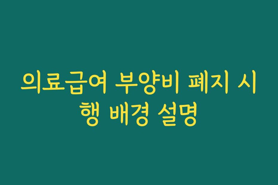의료급여 부양비 폐지 시행 배경 설명