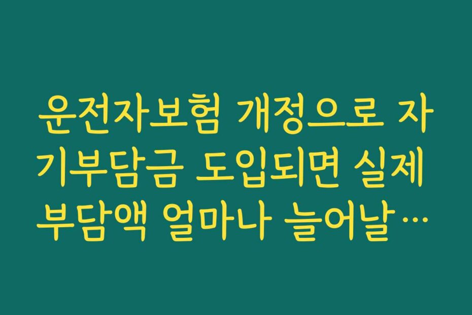 운전자보험 개정으로 자기부담금 도입되면 실제 부담액 얼마나 늘어날까 계산해 보기