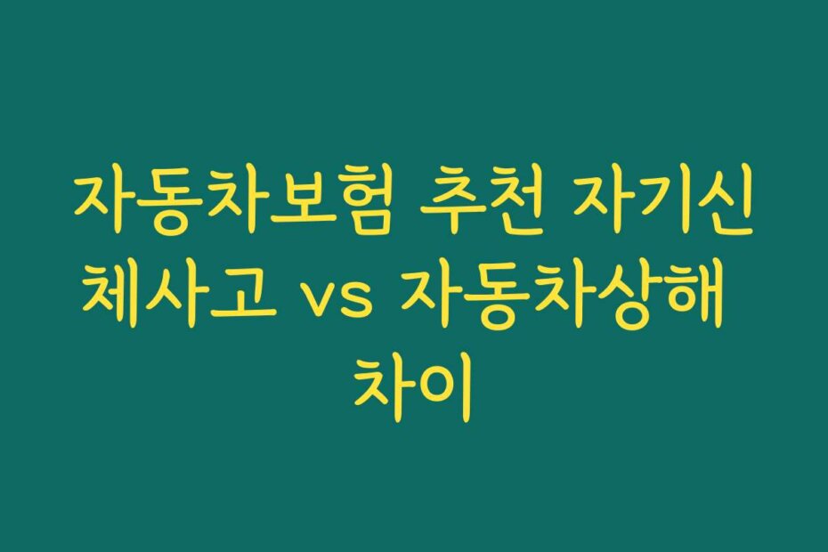 자동차보험 추천 자기신체사고 vs 자동차상해 차이
