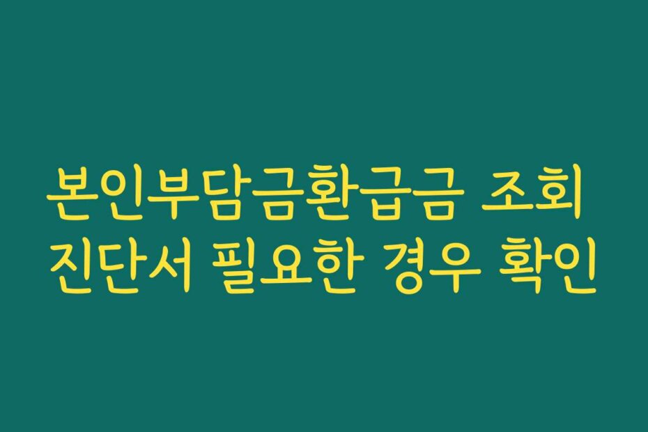 본인부담금환급금 조회 진단서 필요한 경우 확인