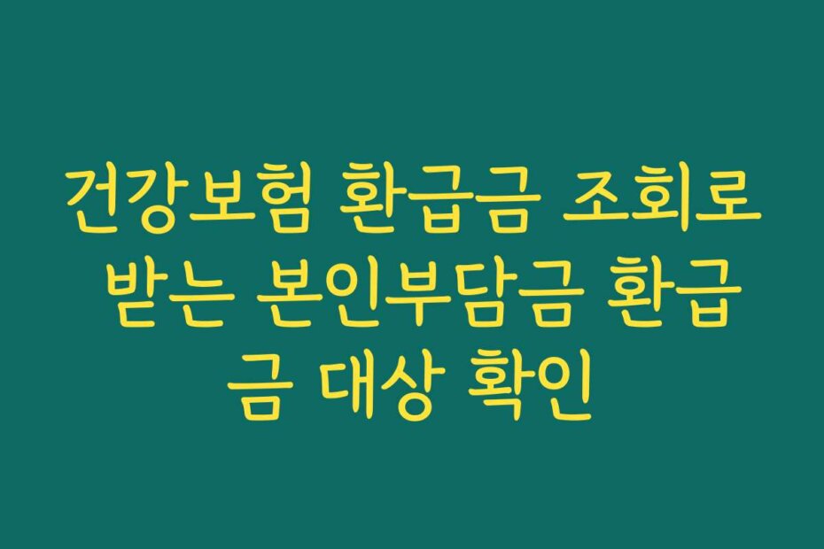건강보험 환급금 조회로 받는 본인부담금 환급금 대상 확인
