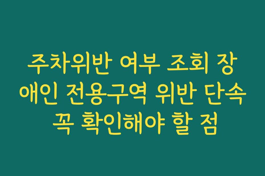 주차위반 여부 조회 장애인 전용구역 위반 단속 꼭 확인해야 할 점