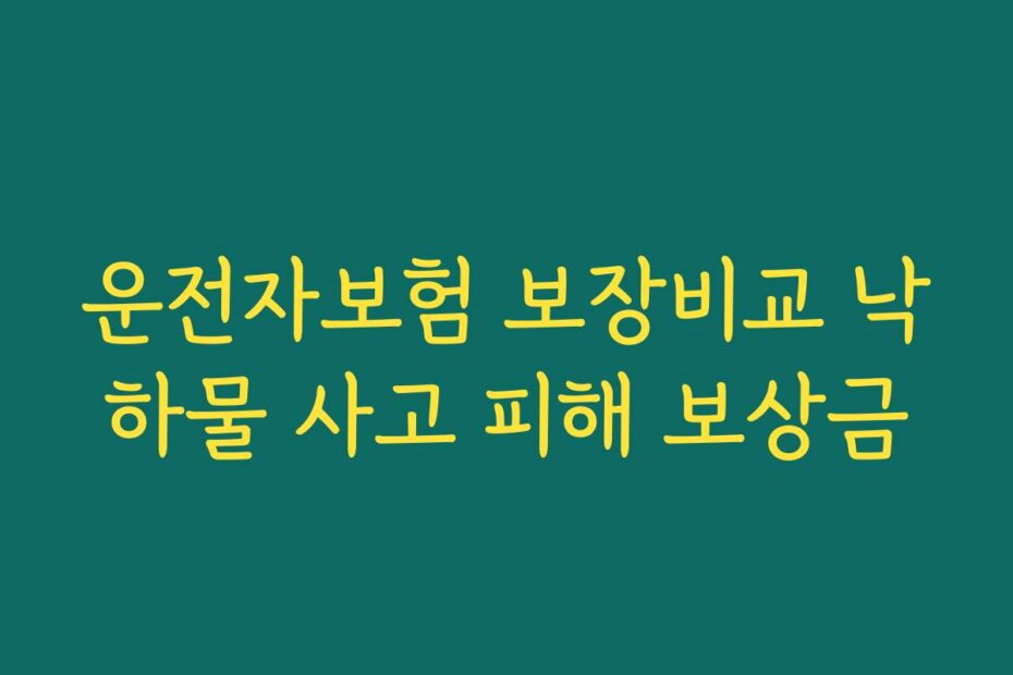 운전자보험 보장비교 낙하물 사고 피해 보상금