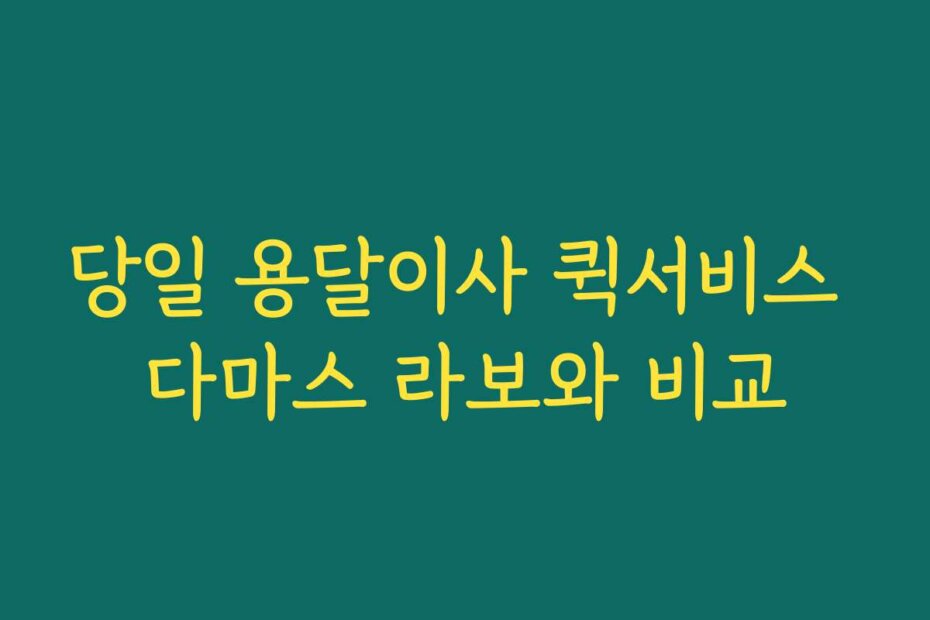 당일 용달이사 퀵서비스 다마스 라보와 비교