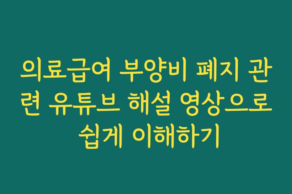 의료급여 부양비 폐지 관련 유튜브 해설 영상으로 쉽게 이해하기