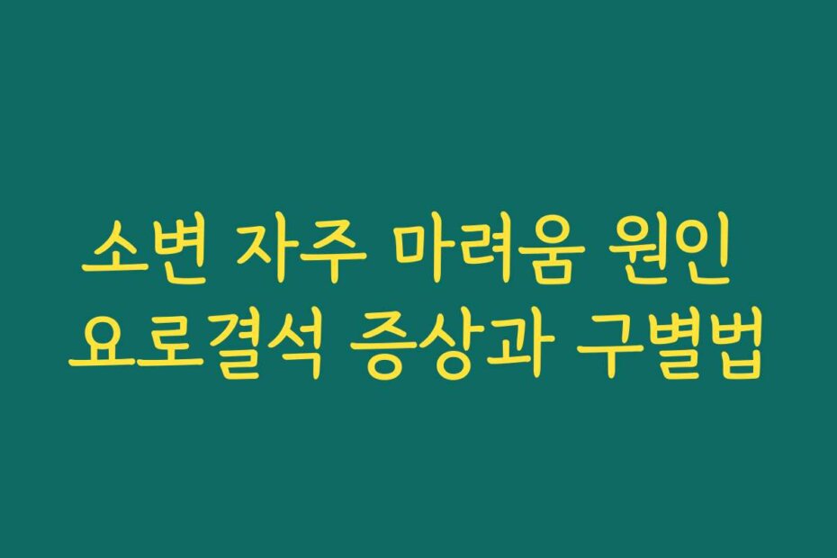 소변 자주 마려움 원인 요로결석 증상과 구별법