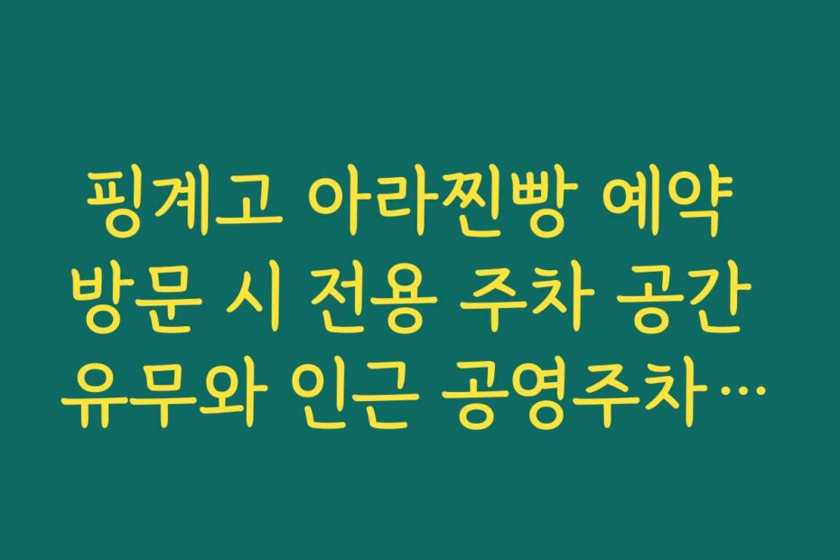 핑계고 아라찐빵 예약 방문 시 전용 주차 공간 유무와 인근 공영주차장 정보 확인법