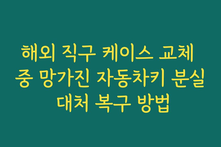 해외 직구 케이스 교체 중 망가진 자동차키 분실 대처 복구 방법
