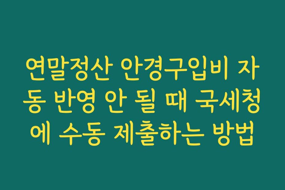연말정산 안경구입비 자동 반영 안 될 때 국세청에 수동 제출하는 방법
