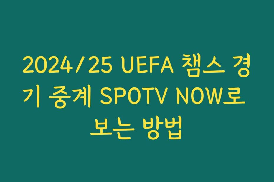 2024/25 UEFA 챔스 경기 중계 SPOTV NOW로 보는 방법