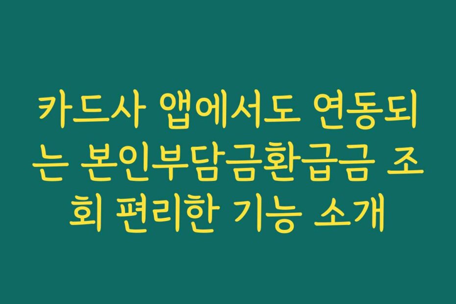 카드사 앱에서도 연동되는 본인부담금환급금 조회 편리한 기능 소개