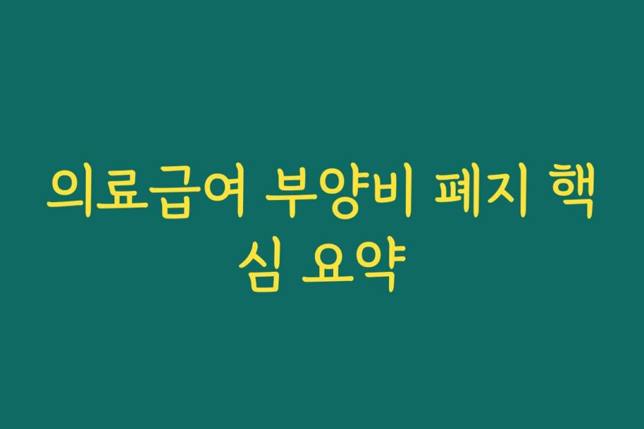 의료급여 부양비 폐지 핵심 요약
