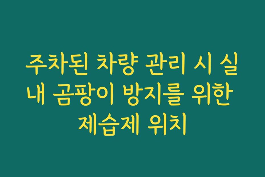 주차된 차량 관리 시 실내 곰팡이 방지를 위한 제습제 위치