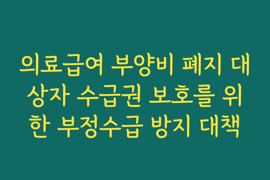 의료급여 부양비 폐지 대상자 수급권 보호를 위한 부정수급 방지 대책