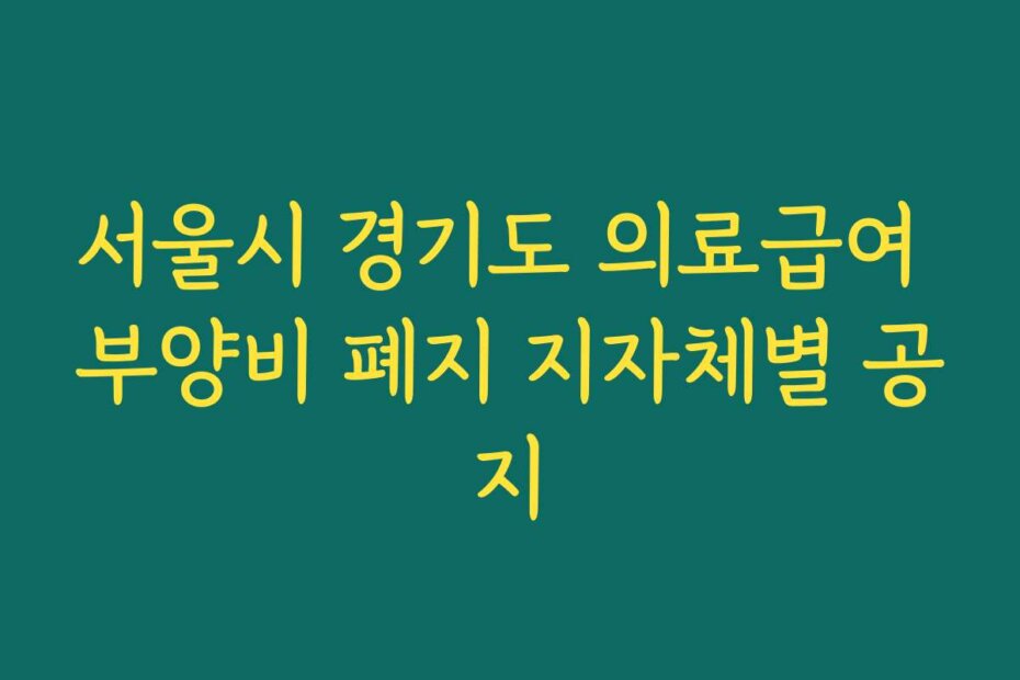 서울시 경기도 의료급여 부양비 폐지 지자체별 공지