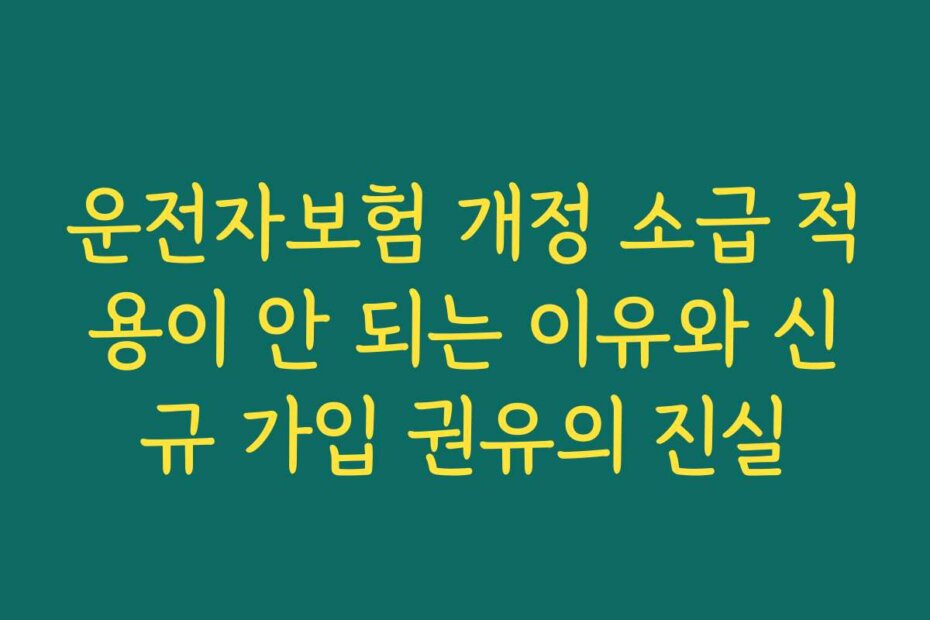 운전자보험 개정 소급 적용이 안 되는 이유와 신규 가입 권유의 진실