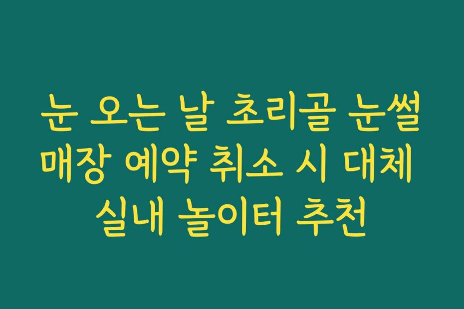 눈 오는 날 초리골 눈썰매장 예약 취소 시 대체 실내 놀이터 추천