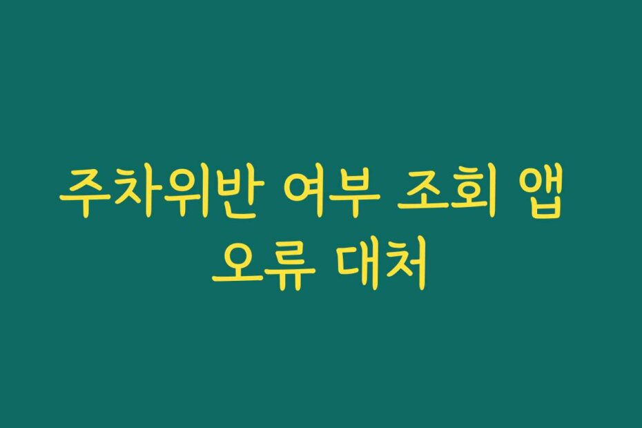 주차위반 여부 조회 앱 오류 대처