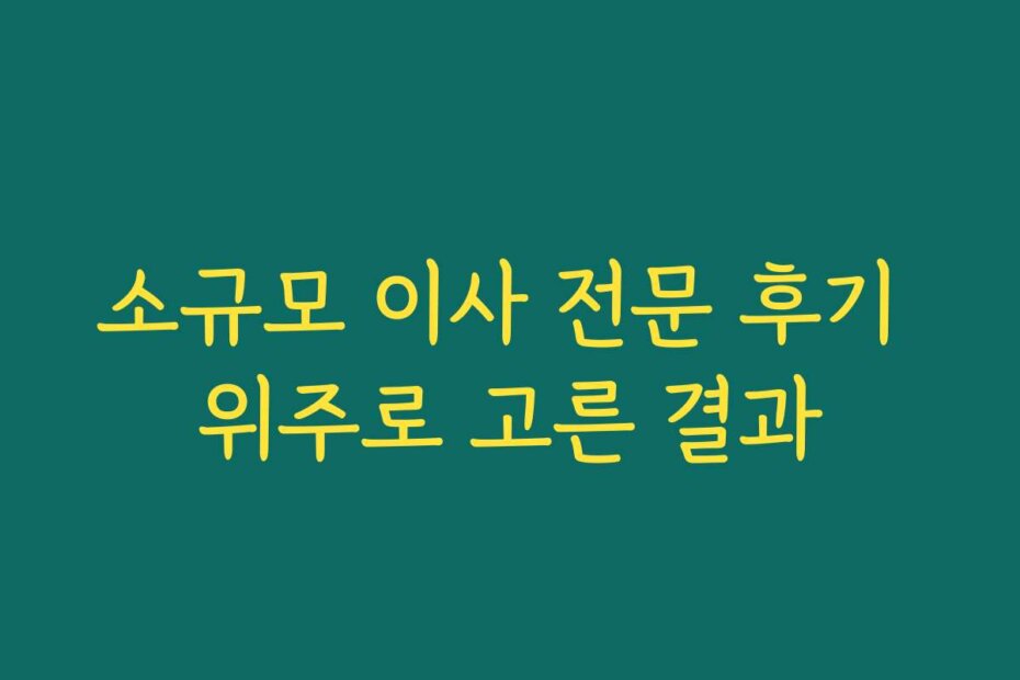 소규모 이사 전문 후기 위주로 고른 결과