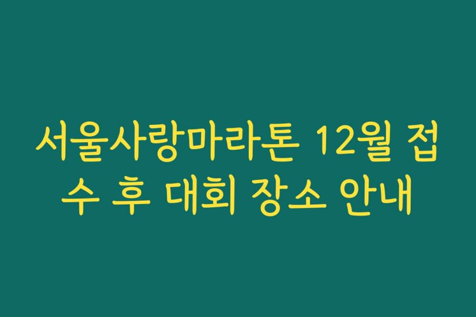 서울사랑마라톤 12월 접수 후 대회 장소 안내